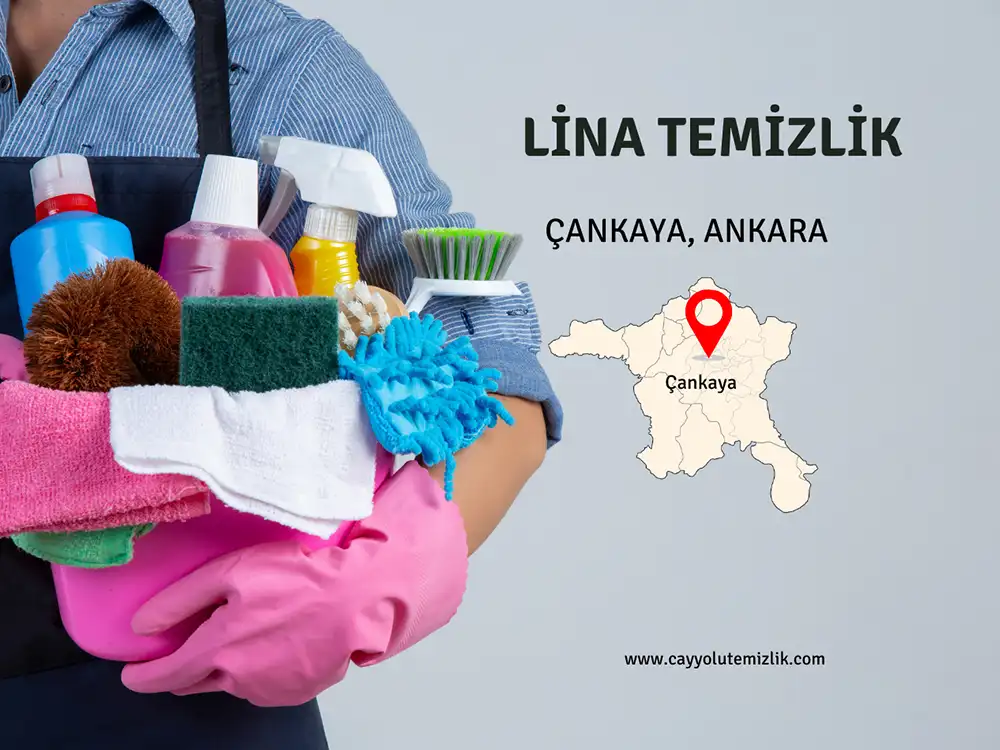 çankaya ev temizliği 2